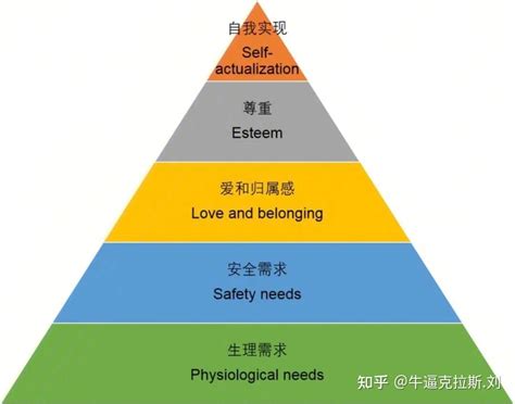 社会金字塔|社会结构（社会学术语）